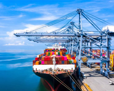 Sea Freight Export / Import Consolidation